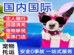 哈尔滨航空快递国际宠物托运 【国